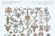 Botanical ornaments in the Art Nouve, a Pattern Graphic by Collection by VY (Thumbnail 2 of 9)