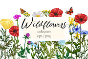 Wild herbs. Wildflowers in summer, a Decorative Illustration by irina.vaneeva (Thumbnail 1 of 8)