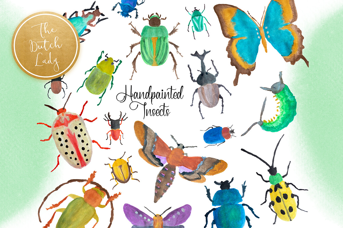 Handpainted Insect Clipart Set, an Illustration by The Dutch Lady Designs (Photo 1 of 6)
