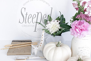 Styled Stock Photo white pumpkin
