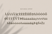 Bougenville - Modern Serif Font, a Serif Font by overlaytemplates (Thumbnail 5 of 5)