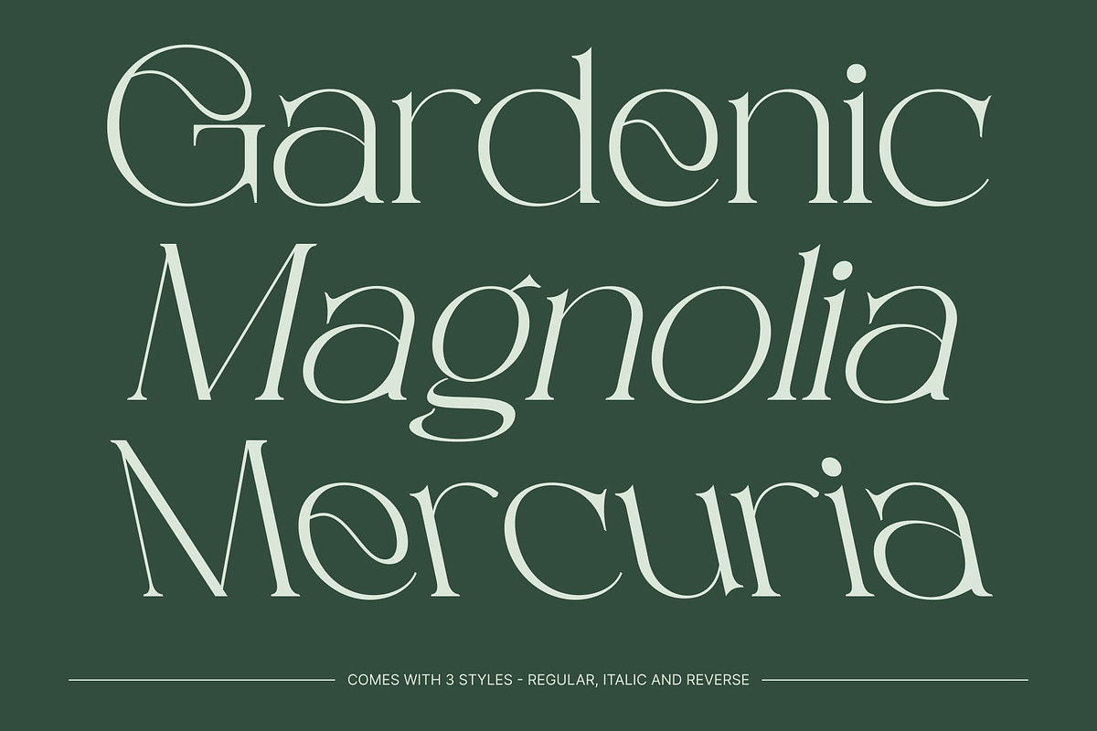 CS Sage – Art Nouveau Font, a Serif Font by Craft Supply Co. (Photo 3 of 8)