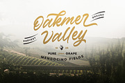 Verdons Wild - Vintage Brush Script, a Script Font by Bale Type (Thumbnail 4 of 10)