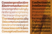 TA Shusha, a Slab Serif Font by TAFT Foundry (Thumbnail 3 of 13)