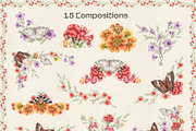 Summer Midday: Paraguay Botanical, a Decorative Illustration by Nadya Saen Art (Thumbnail 5 of 13)