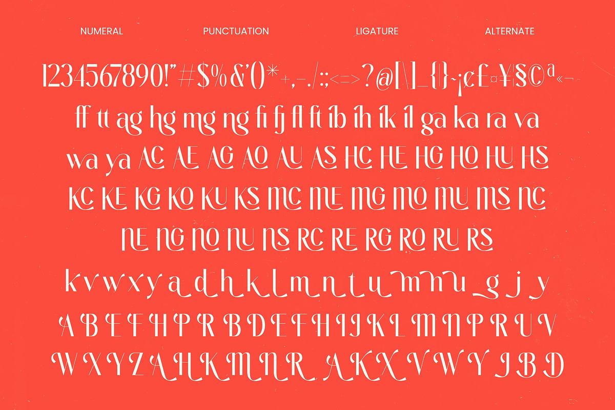 Bragute Sans Serif Display, a Sans Serif Font by timelesstype.co (Photo 8 of 10)