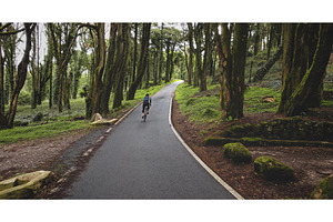 Cyclist riding winding road through, a Nature Photo by Goinyk