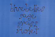 Dandelion Hand Drawn Font, a Handwritten Font by Madeline ODonoghue Design (Thumbnail 7 of 7)