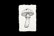 Dark Lab Bundle, an Object Graphic by Annie Konst (Thumbnail 12 of 20)