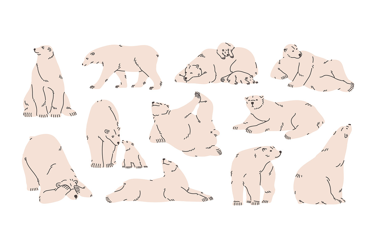 Cute white polar bears set, patterns, an Animal Illustration by PaperTrident (Photo 2 of 4)