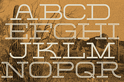 Burro Wash - Slab Serif Display Font, a Slab Serif Font by Sombrero Craft (Thumbnail 5 of 6)