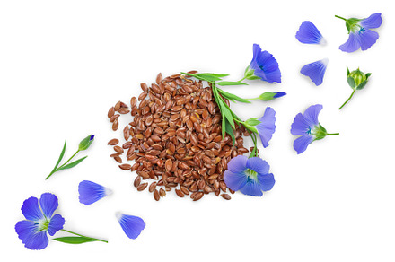 flax seeds with flower isolated on, a Food & Drink Photo by NataPhoto