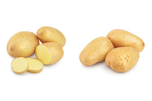 Young potato isolated on white