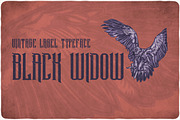 Black Widow Typeface, a Serif Font by VozzyStock (Thumbnail 5 of 6)