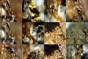 Secret Agent Overlays I, a Graphic by NAUTWORKS (Thumbnail 2 of 5)