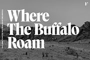 Alto Adige Serif Typeface, a Serif Font by Fenotype (Thumbnail 4 of 14)
