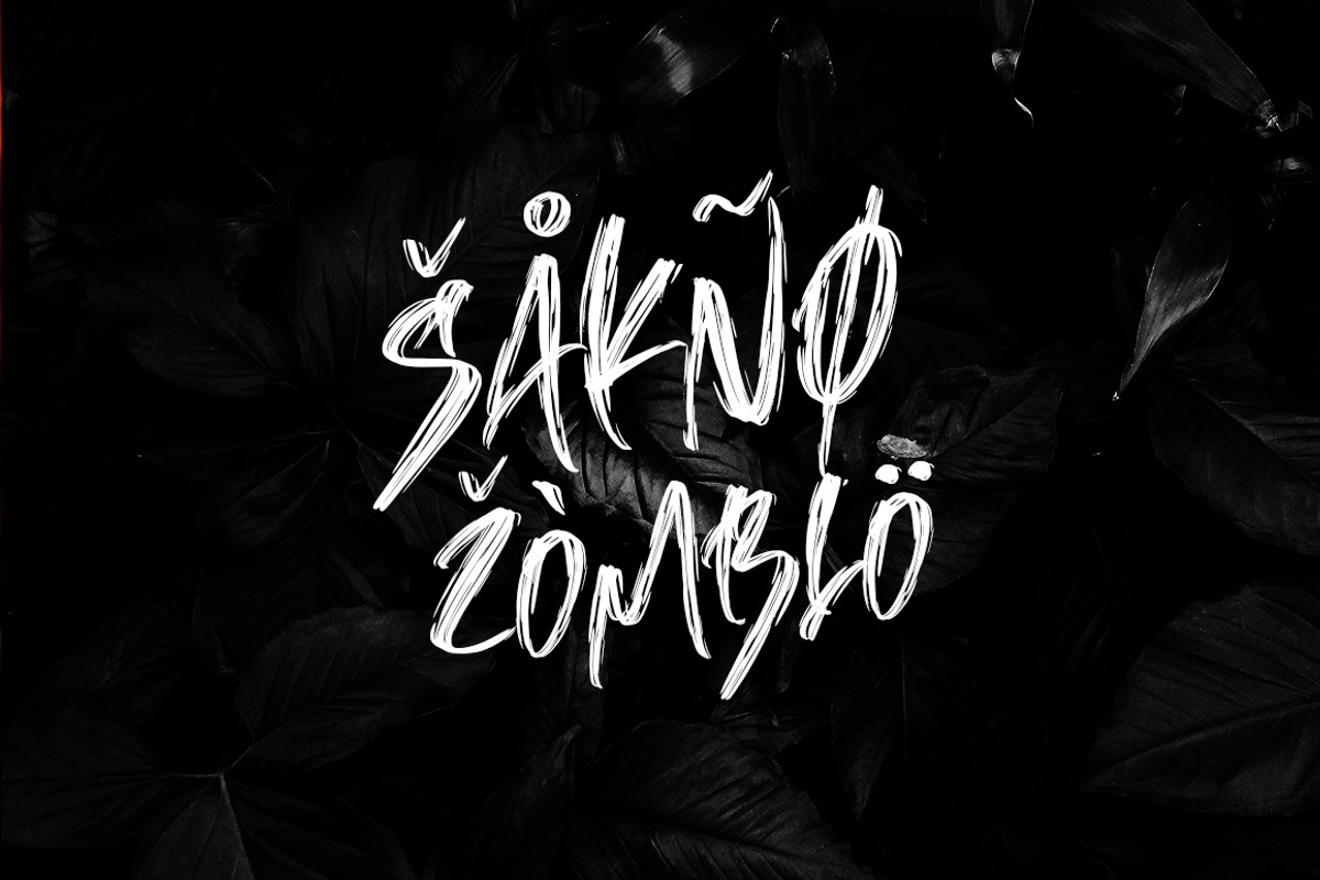 Canadian Brusher - Hipster Typeface preview 7