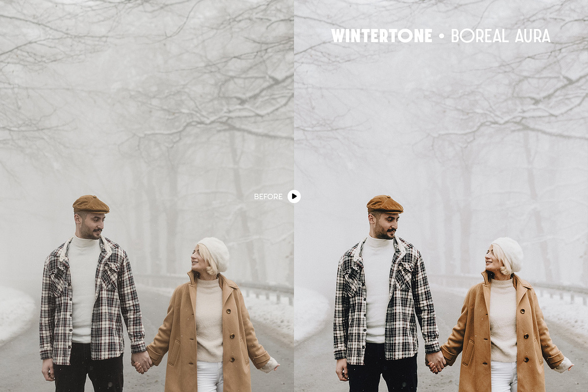 Wintertone Lightroom Presets, a Preset Add-On by Presetrain Co. (Photo 6 of 9)