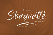 Zeyatte Kareety, a Script Font by Integritype Studio (Thumbnail 14 of 15)