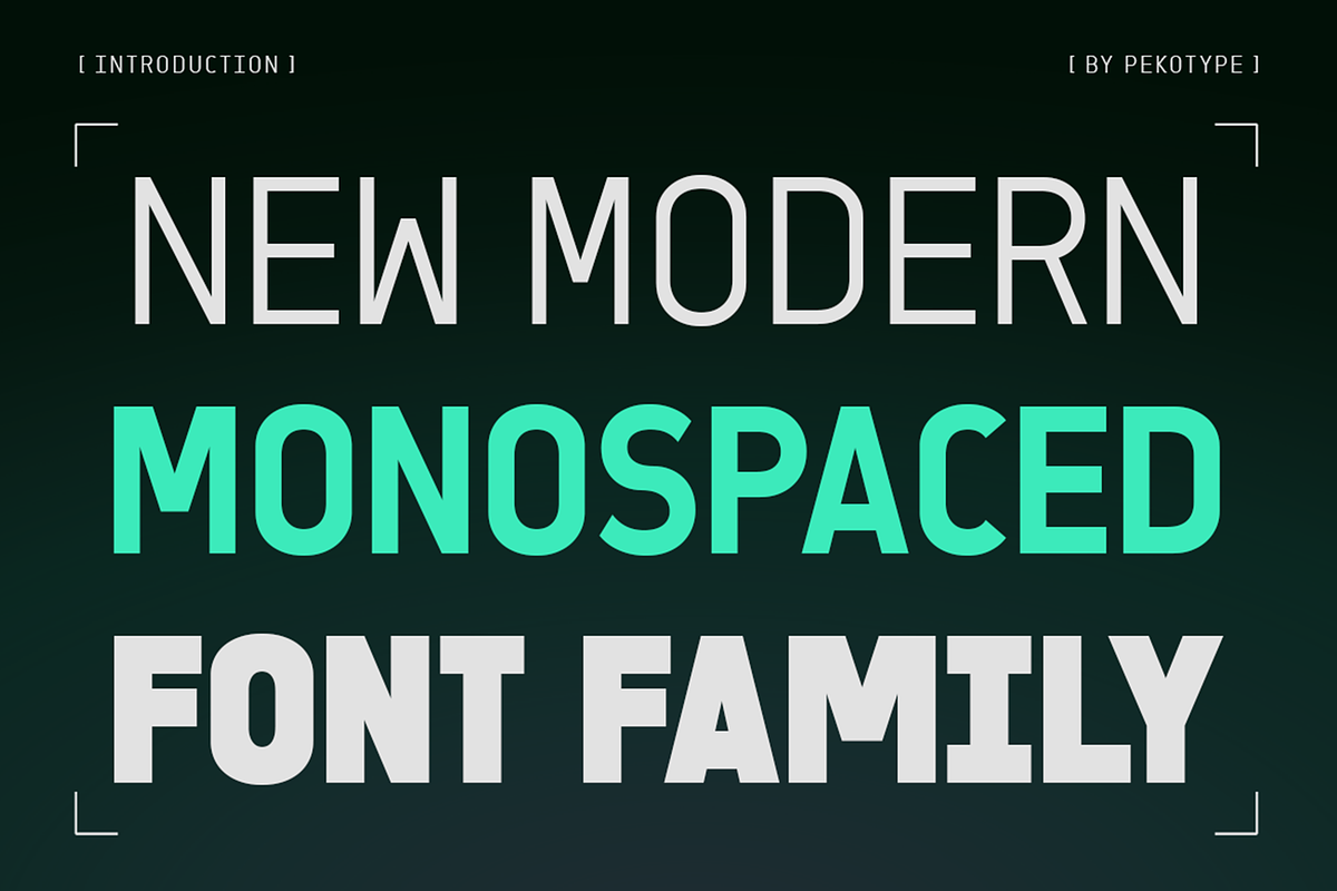 Sawith Mono - Monospaced Font Family, a Sans Serif Font by Pekotype (Photo 2 of 15)