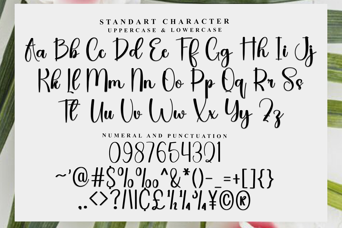 Crestore, a Handwritten Font by InermediaSTUDIO (Photo 5 of 7)