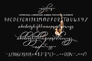 Ayodong Script, a Script Font by Nowlystudios (Thumbnail 6 of 6)