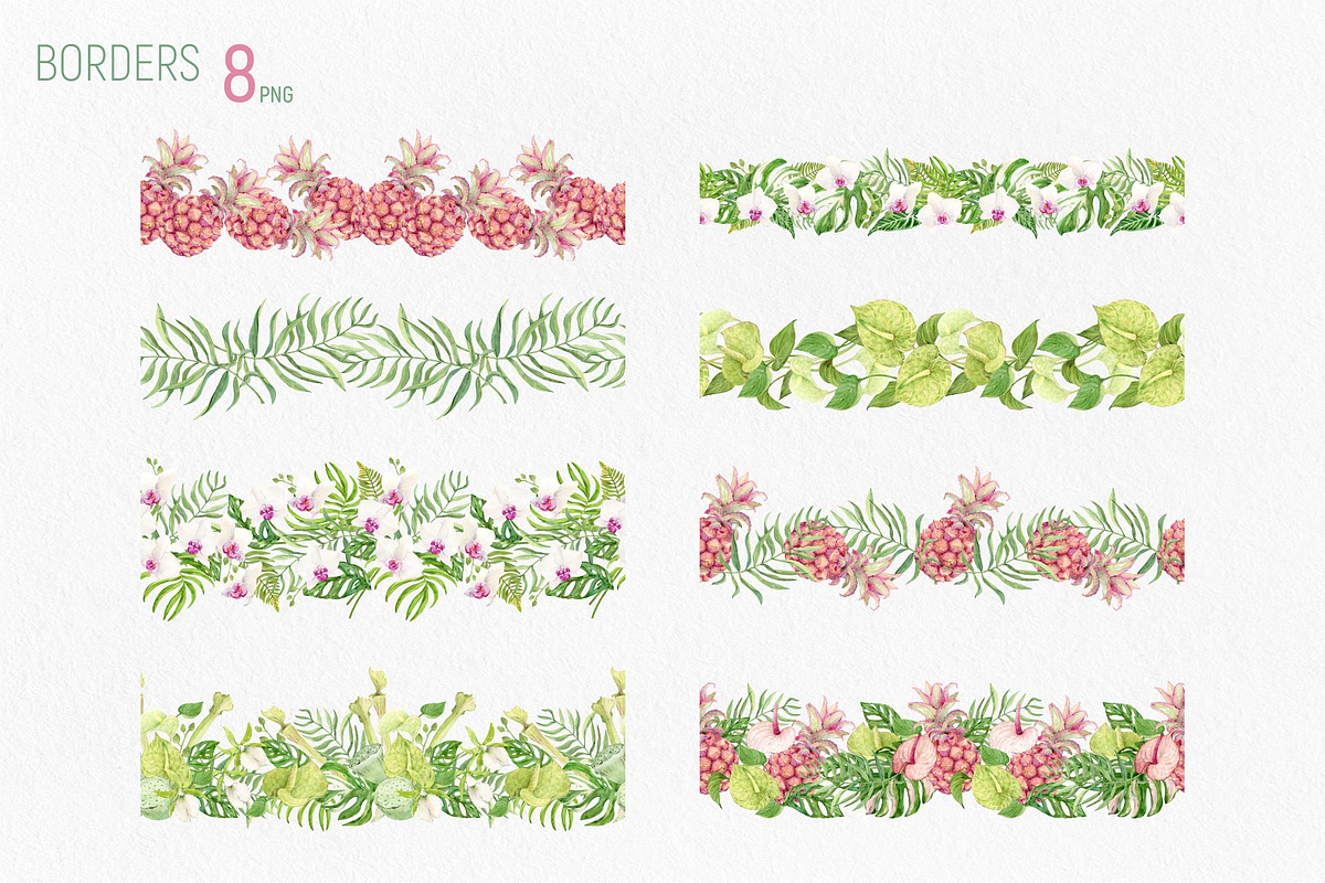 Tropical Flowers. Exotic flora set, an Illustration by Tata Pilip (Photo 18 of 21)