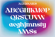 Swomun - Bold Serif, a Serif Font by tebaltipislab (Thumbnail 14 of 15)
