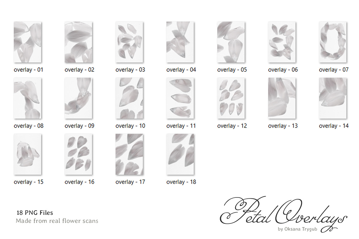 Flower Petal Textures & Foil Overlay, a Texture Graphic by Oksana Trygub (Photo 26 of 28)