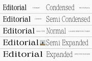 Calgine Serif, a Serif Font by MasaType (Thumbnail 6 of 12)