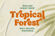 Roflake - Boldly Vintage Style, a Serif Font by roomspace creative lab (Thumbnail 9 of 14)