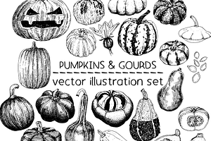Pumpkins & Gourds - illustrations
