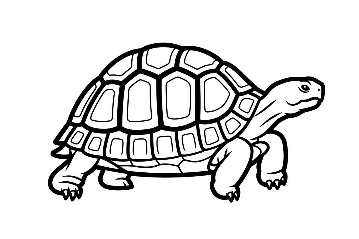 Turtle Line Art Illustration Bundle, an Illustration by Creativeshirt (Photo 44 of 48)