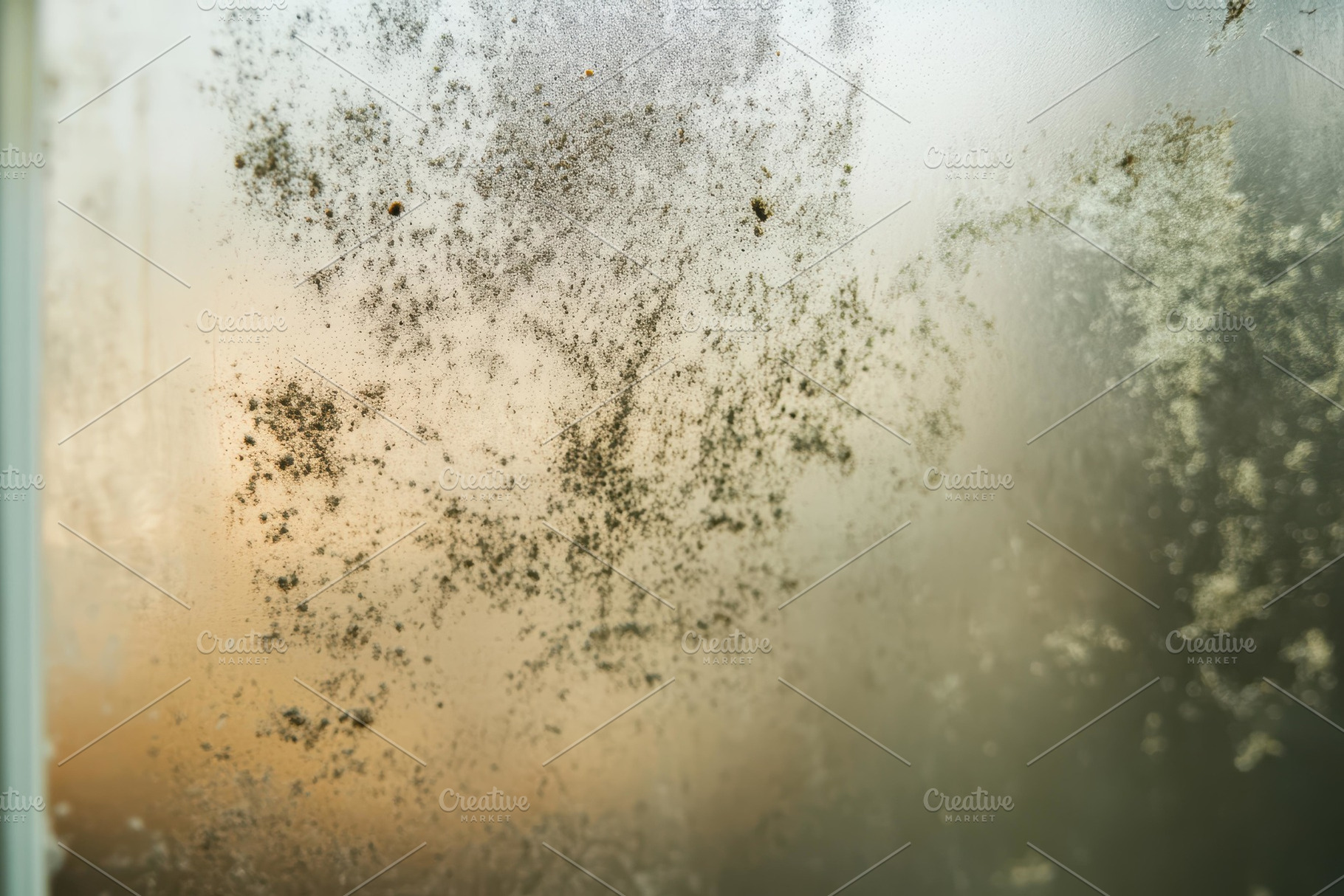 Mold growth on a bathroom window due, a Photo by Tanuart