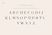 Vilaka Modern Serif, a Serif Font by Nestype (Thumbnail 3 of 10)