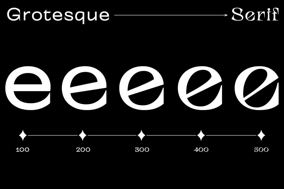TT Alientz, a Serif Font by TypeType (Photo 7 of 15)