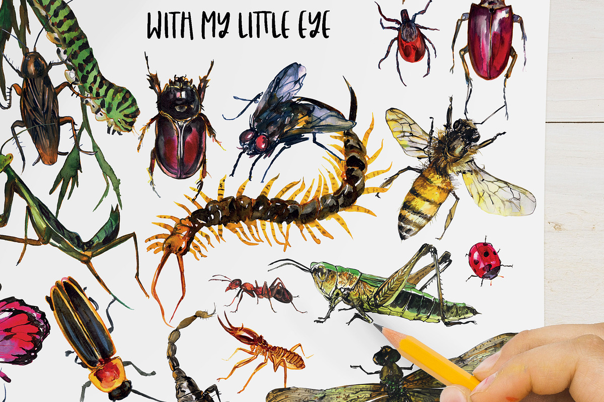 Insects activity printable book, an Animal Illustration by ArtSpotVeronika (Photo 4 of 5)