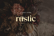 Aluvion Display Modern Serif Font, a Serif Font by UICreative (Thumbnail 5 of 12)