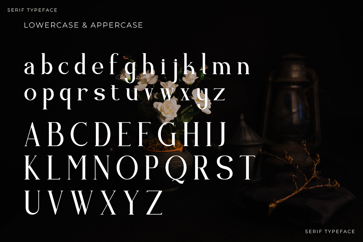 Qristle - Serif Typeface Font, a Serif Font by Rishsketch (Photo 11 of 15)