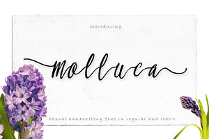 Molluca