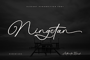 Ningetan Handwritten Font, a Handwritten Font by Basnistudio (Thumbnail 1 of 14)