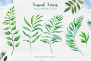 Tropical. Watercolor illustrations., a Decorative Illustration by AlexGreenArt (Thumbnail 4 of 12)