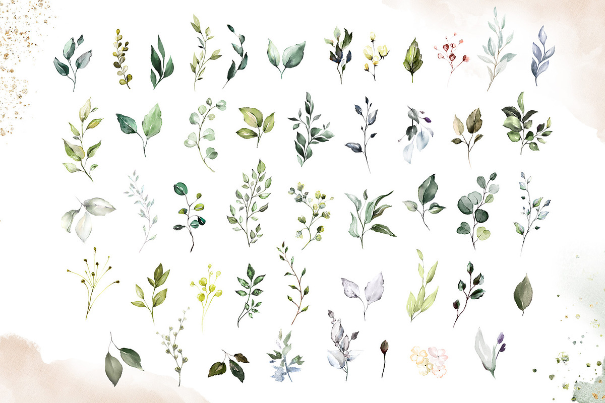 Herbal Watercolor collection, a Work Illustration by Lisima (Photo 3 of 14)