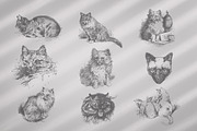 Vintage Bundle 2500+ Free Update, an Animal Illustration by Retro Machine (Thumbnail 76 of 170)