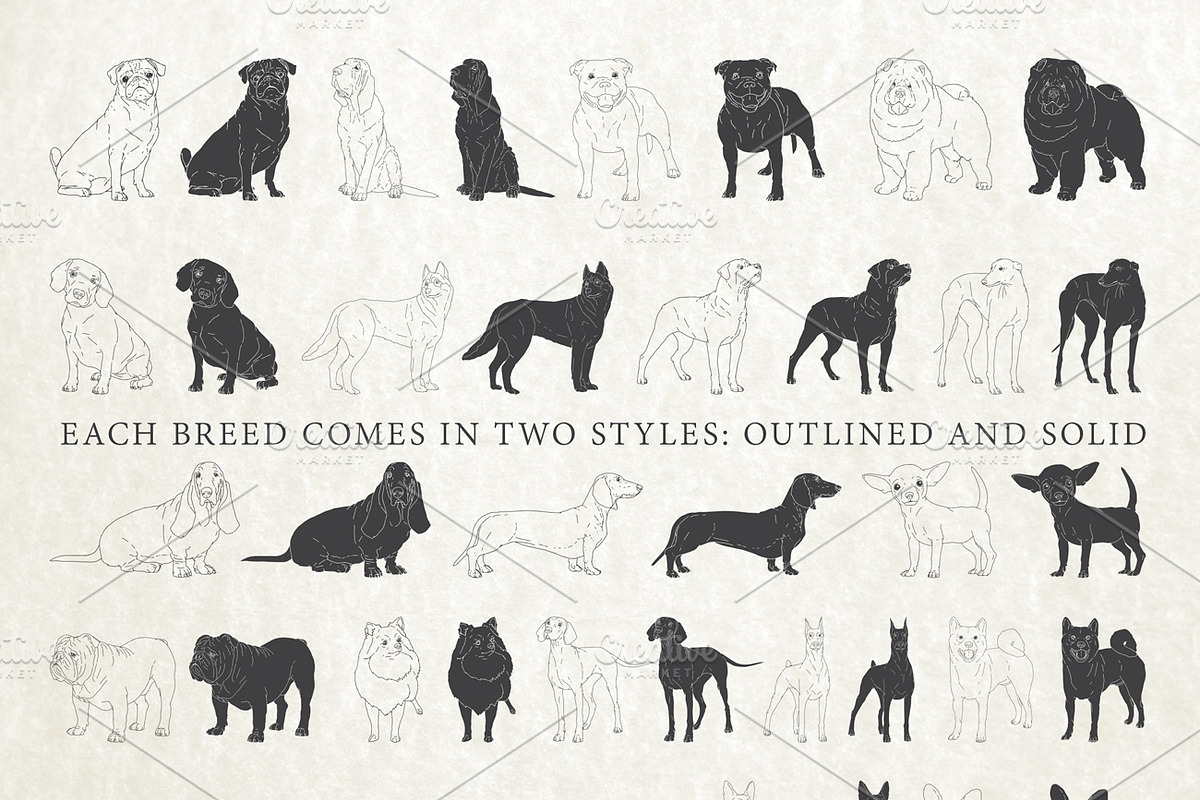 Hand Drawn Dog Breeds Vector 1, an Animal Illustration by Seaquint (Photo 2 of 3)