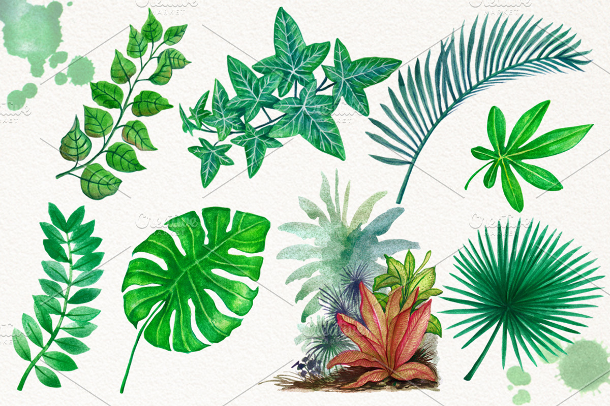 Tropical Leaves in the Jungle, an Illustration by Graphobia (Photo 3 of 9)