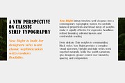 New Bight-Serif Font, a Serif Font by artisans (Thumbnail 2 of 6)