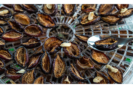 Plums dried in a dehydrator, a Food & Drink Photo by yanadjana