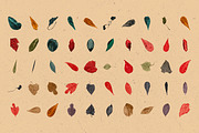 Broken Leaves 200 Transparent Object, an Object Graphic by nicholasasmita (Thumbnail 5 of 15)