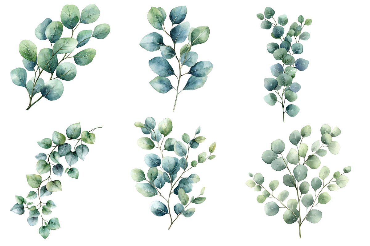 Watercolor Eucalyptus Clipart, an Illustration by Designworld (Photo 2 of 6)